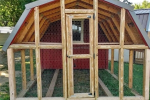 10x20 Chicken Coop - Red w/Gray